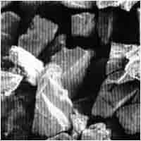 Scanning Electron Micrograph of Milled Ferrosilicon